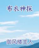 布衣神探