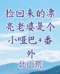 捡来的老婆