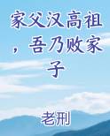 家父汉高祖，吾乃败家子