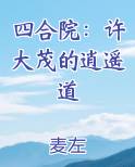 四合院：许大茂的逍遥道