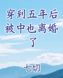 穿到五年后被中也离婚了