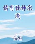 情有独钟宋漠